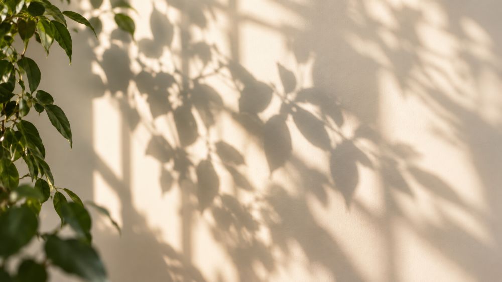 Psicologia e Psicoterapia dell'età evolutiva